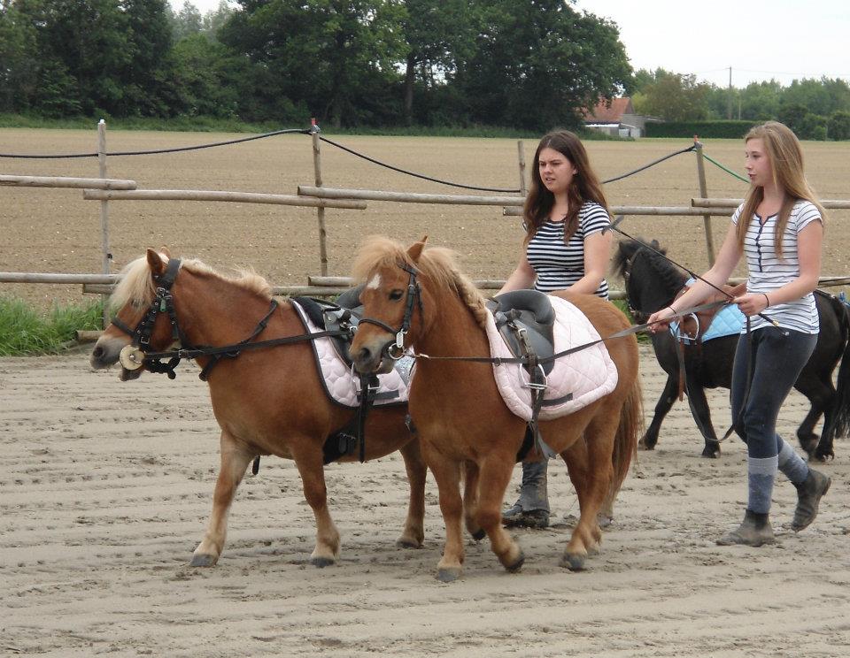 carrousel longues rênes