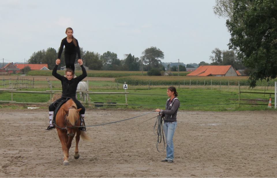 voltige
