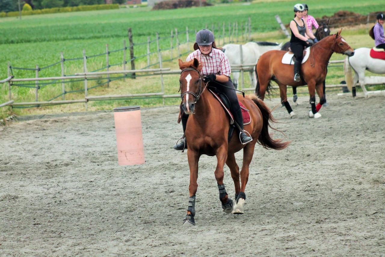 barrel race