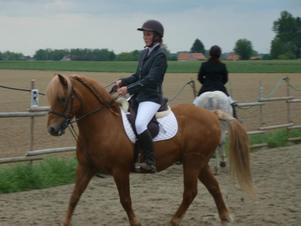 carrousel dressage