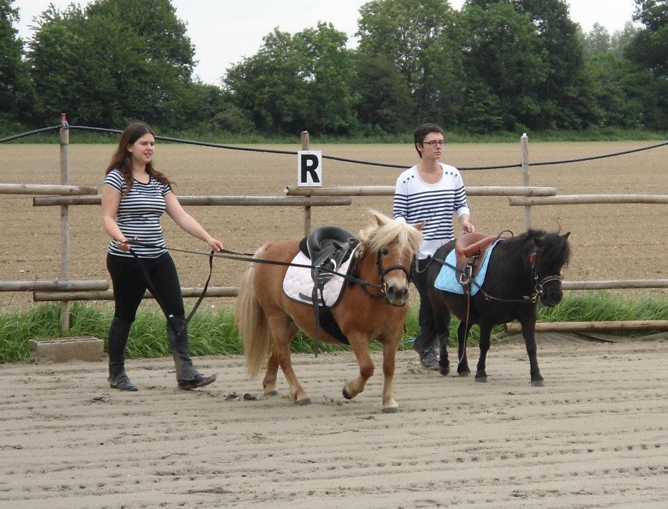 carrousel longues rênes