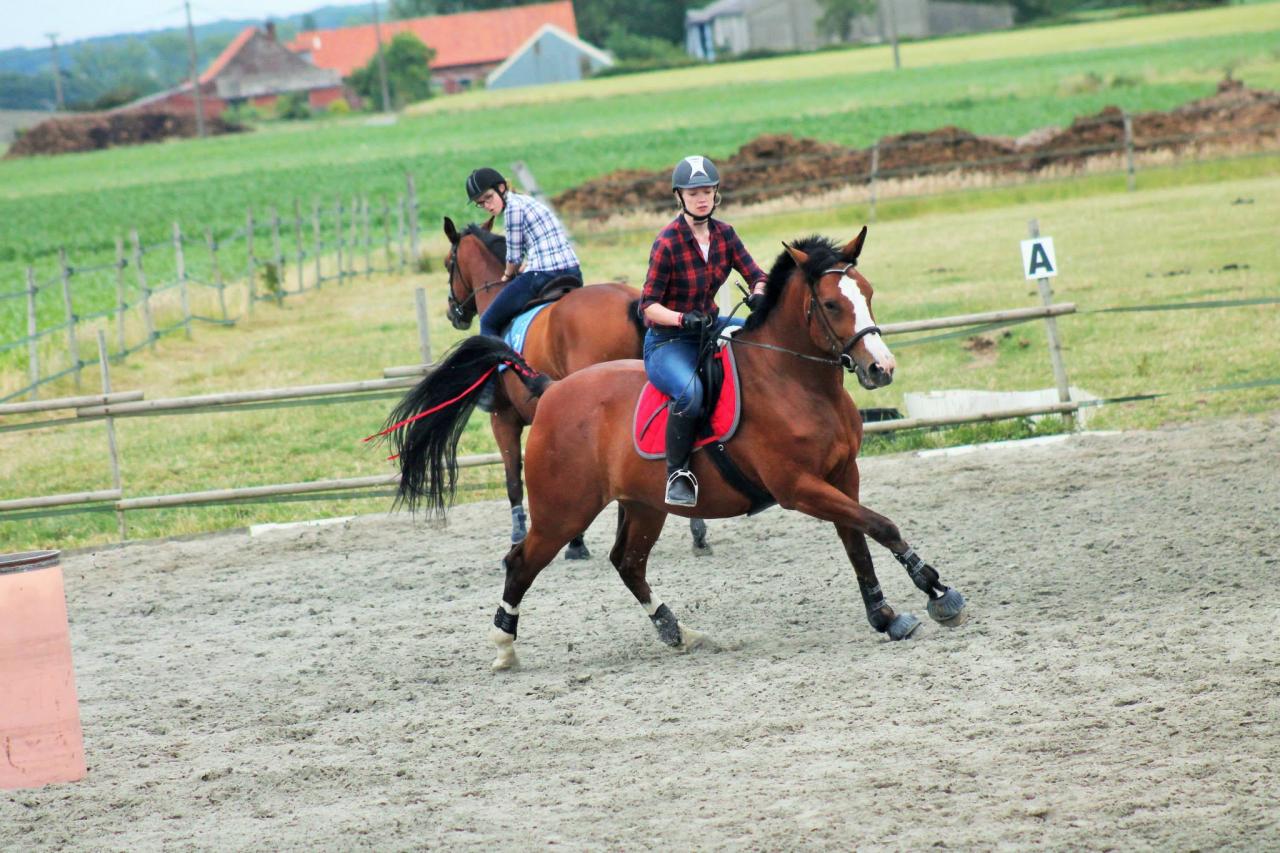 barrel race