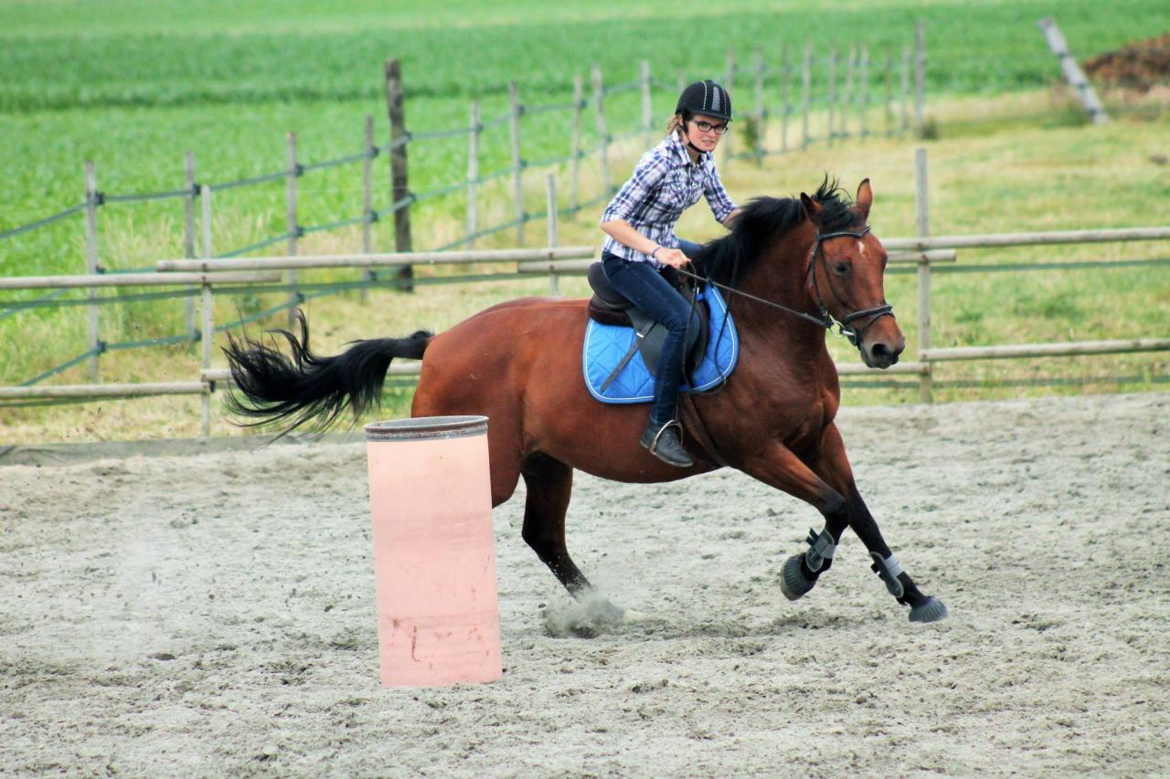barrel race