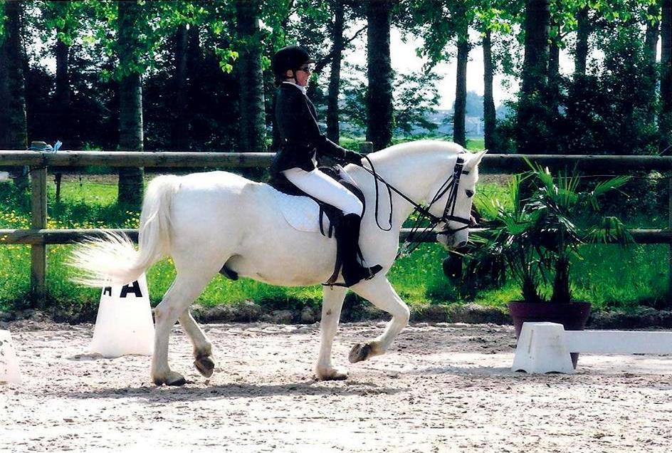 amandine  et pilou 