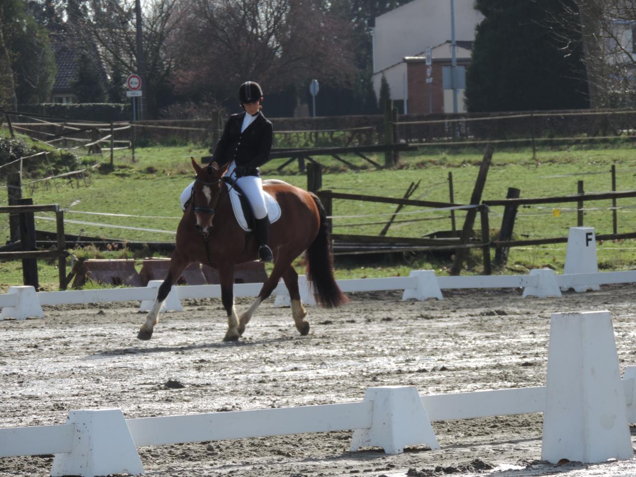 dorina et florence