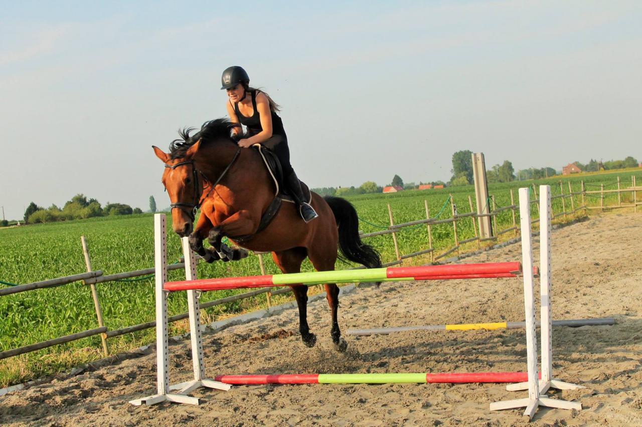 godiva laure