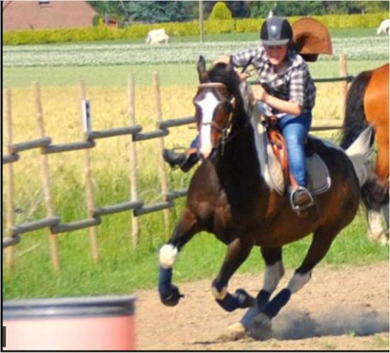 barrel race