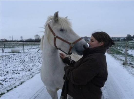 bisous dans la neige