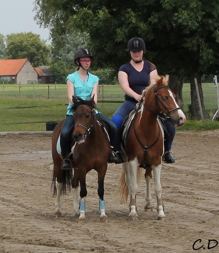 emilie/pot de colle et pauline/queensea