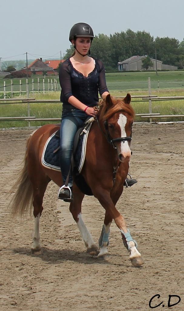 aude et robin