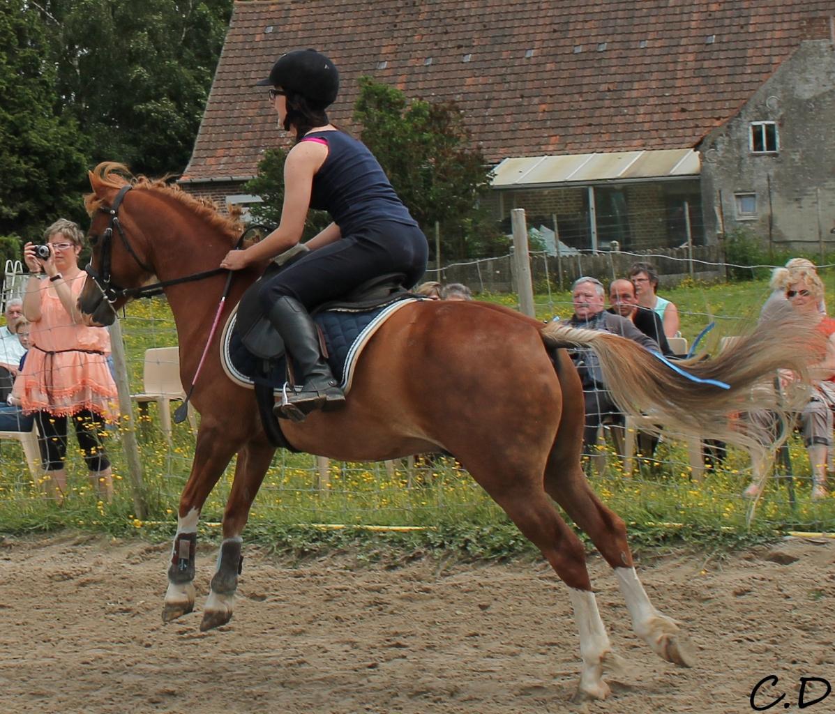 jeux cso coline et robin