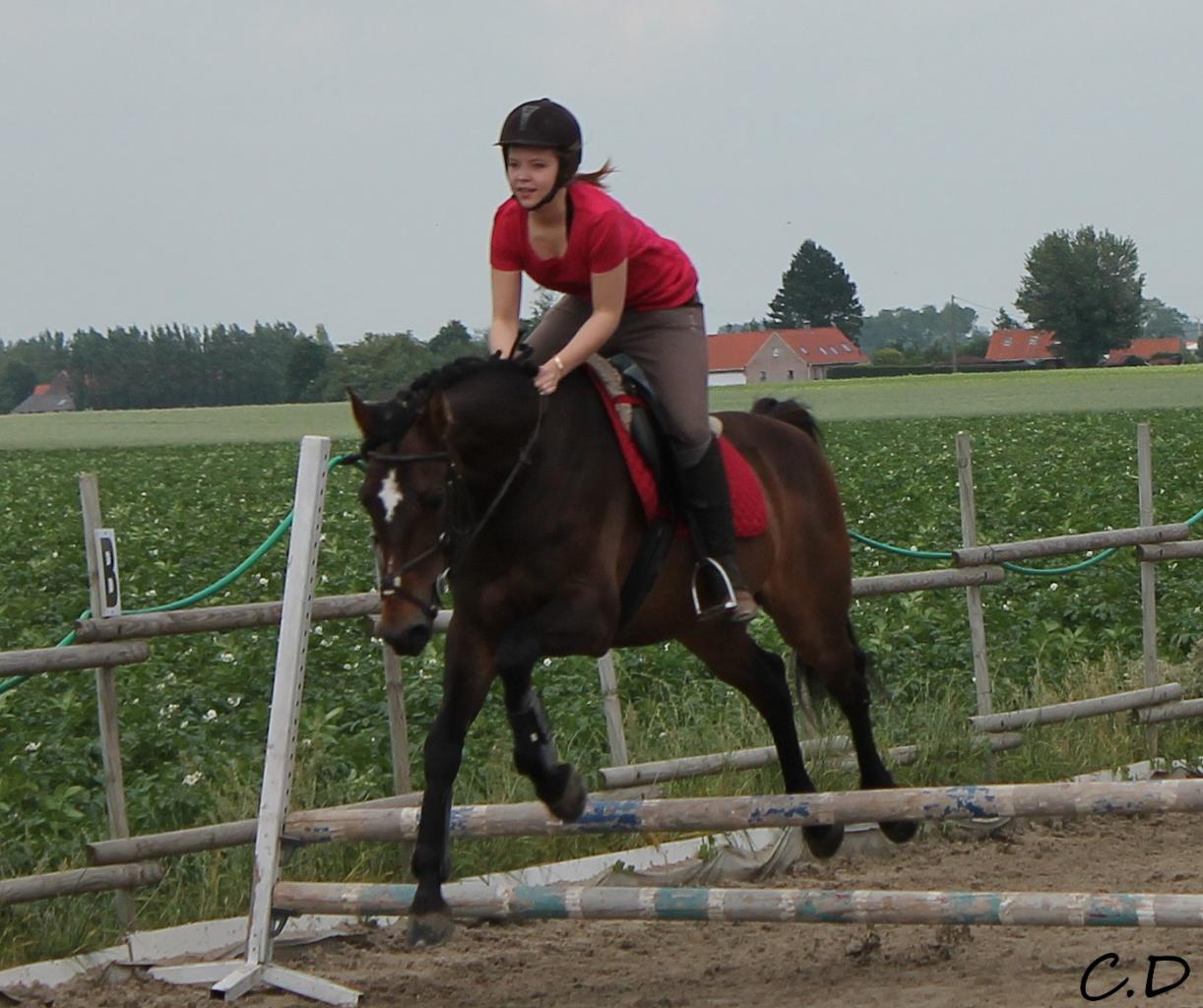 jeux cso louise et mystère