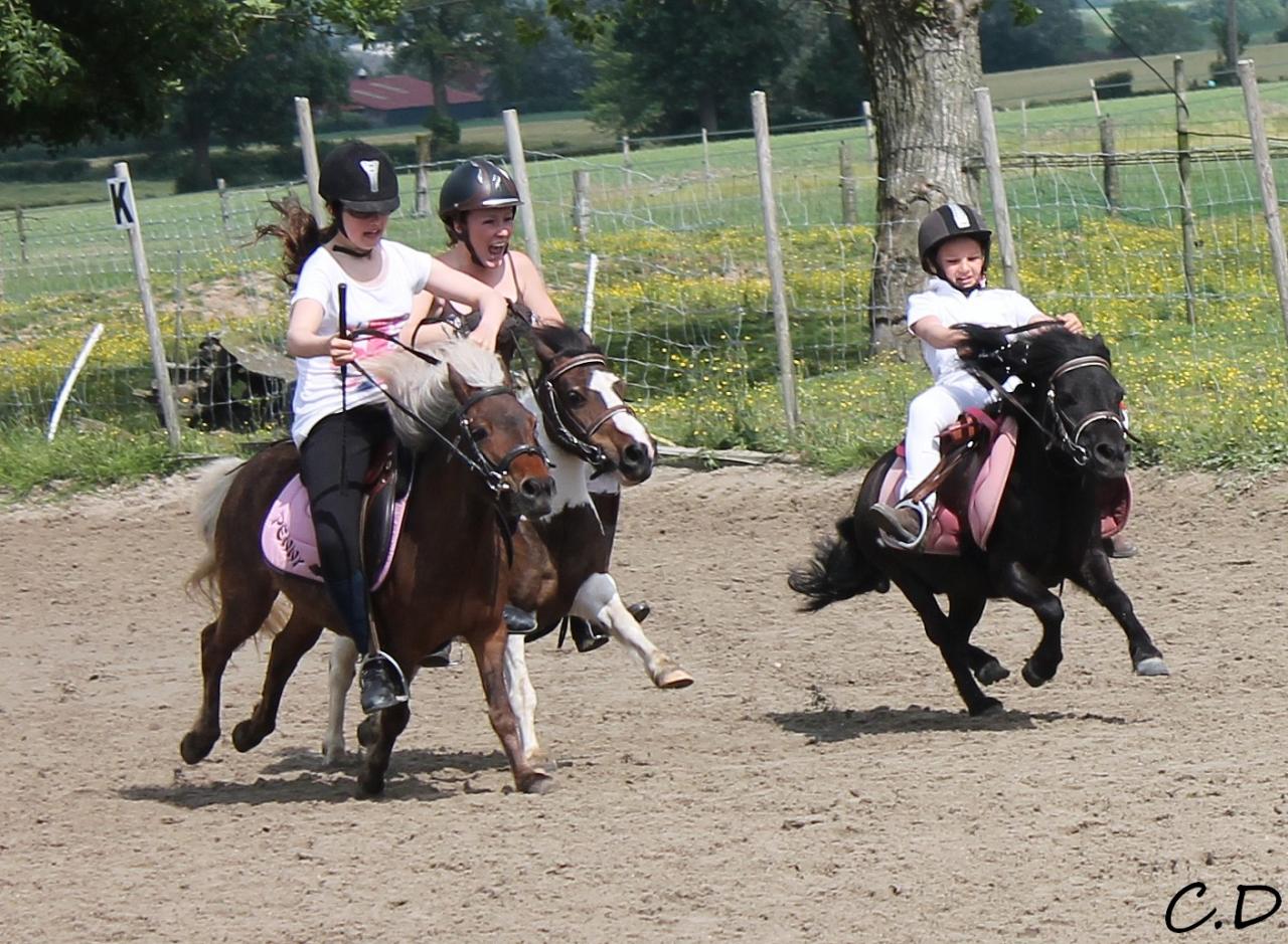 tiercé shatland
