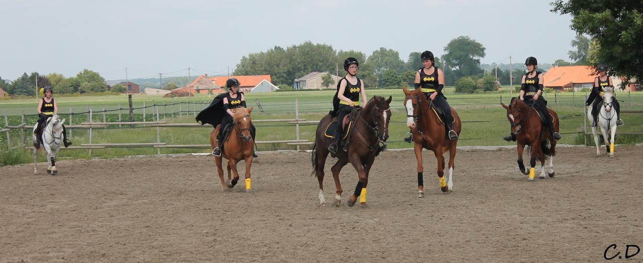 carrousel batgirl