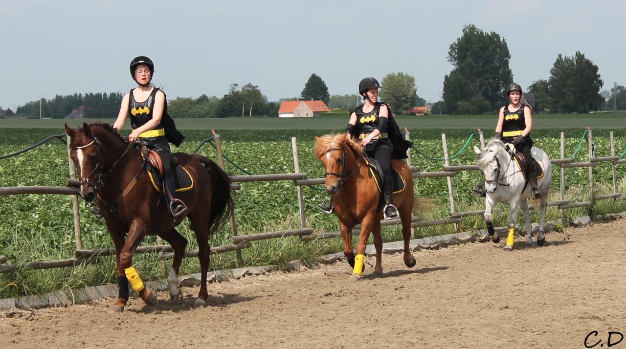 les batgirls