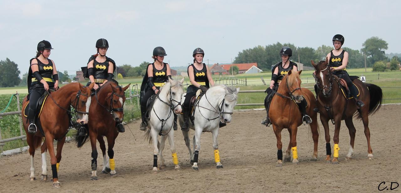 les batgirls