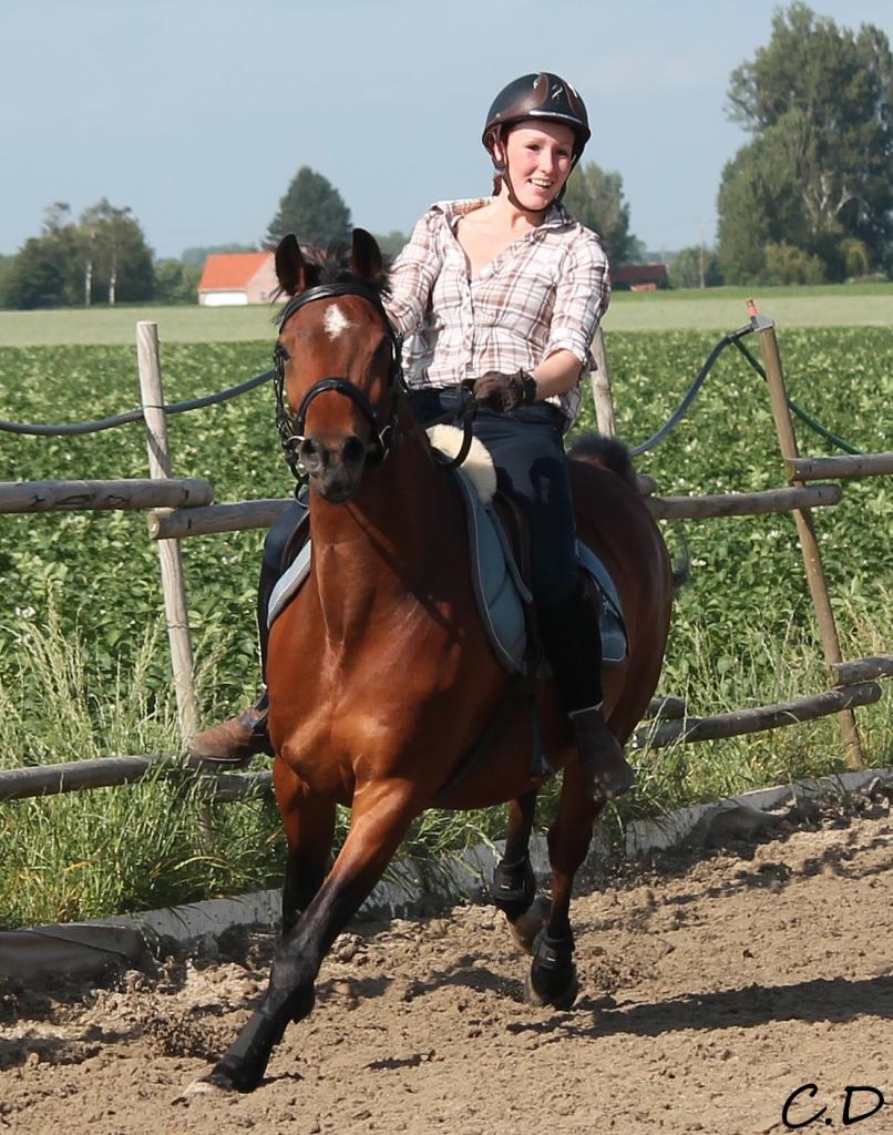 léa et tarzan