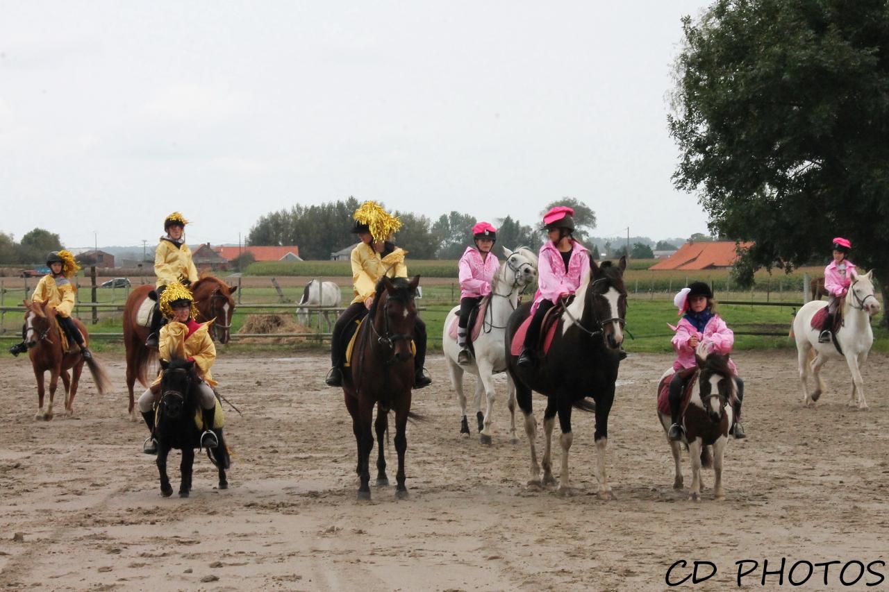 carrousel disco