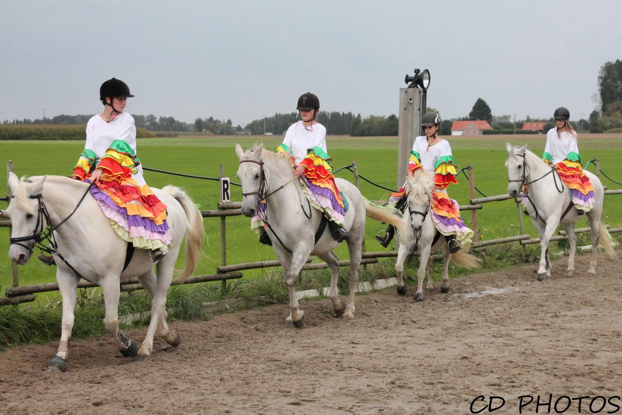 carrousel samba