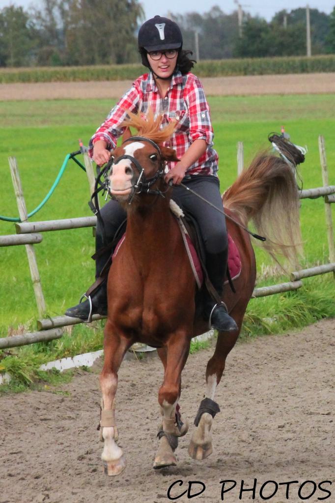 barrel race