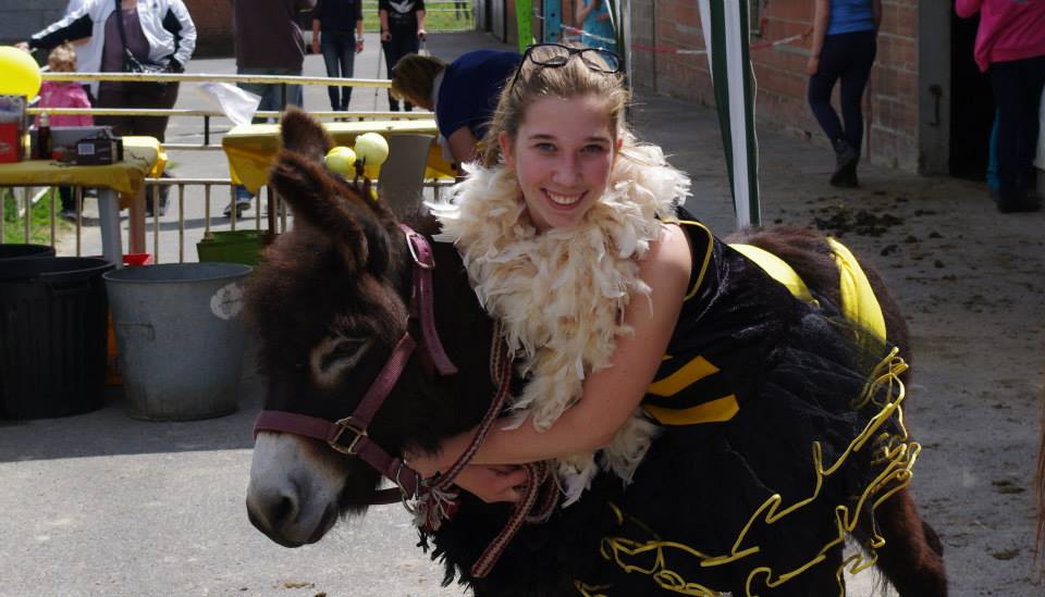 les abeilles justine et ulane