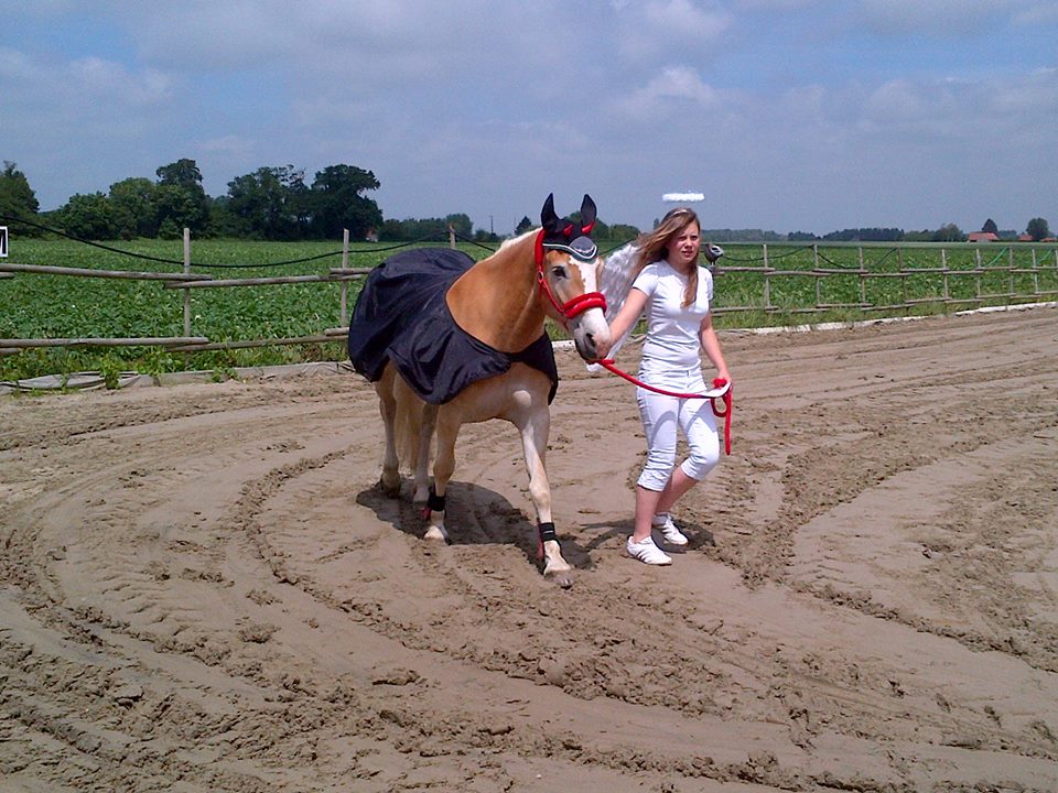ange et démon laure et taquin