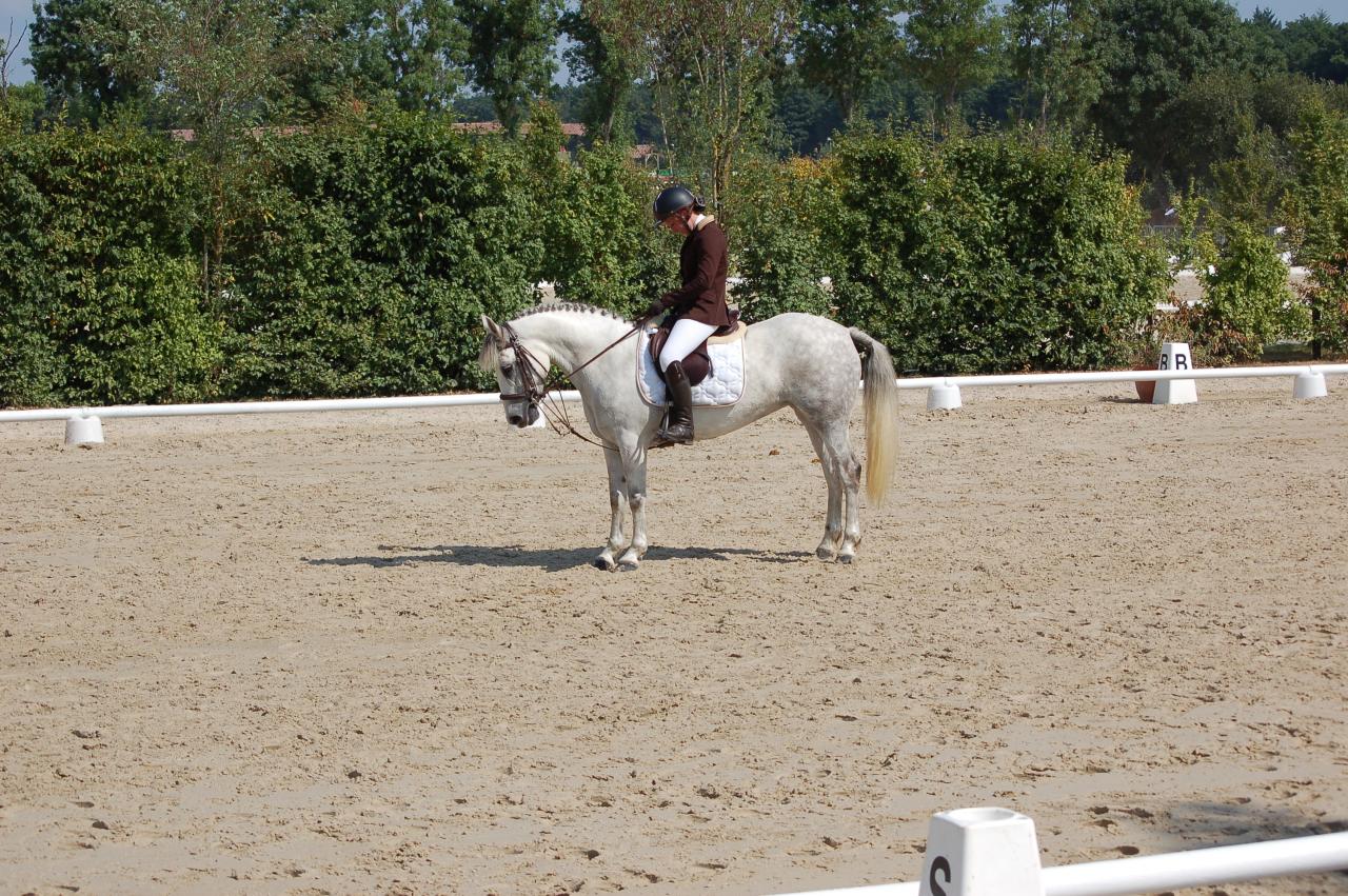 lea et ozaie technique