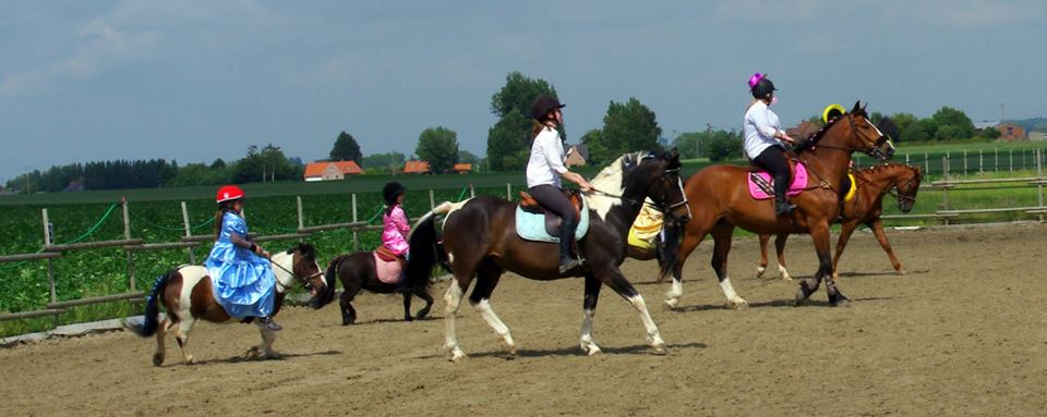 marquis marquises