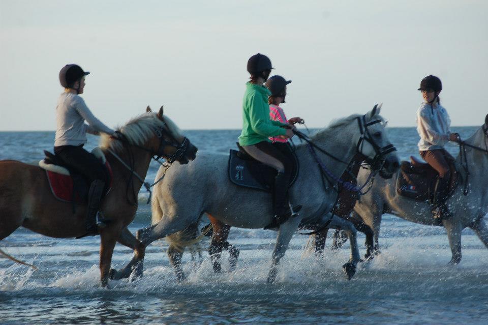 trot dans l'eau