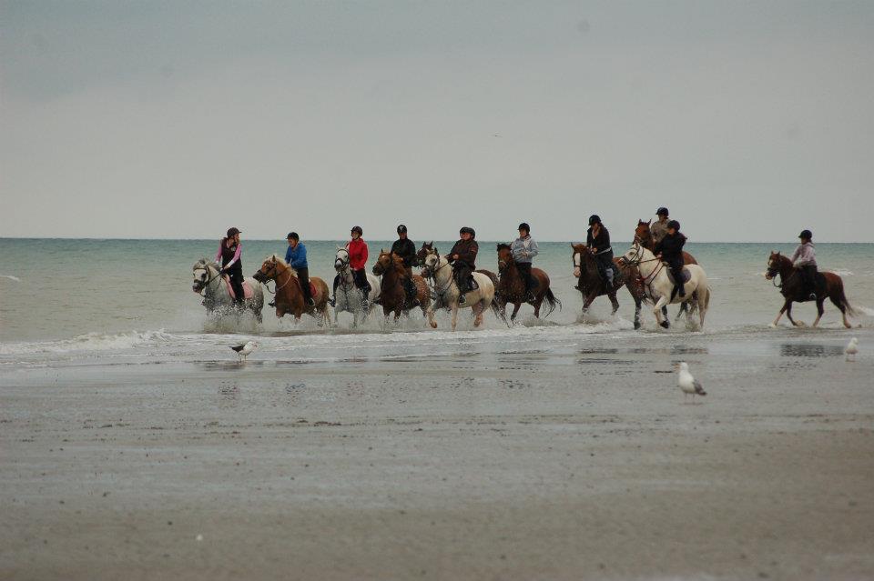 petit trot dans l'eau